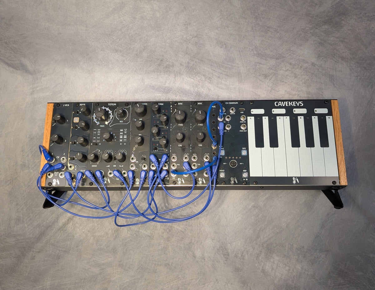 Caveman Modules Starter System – Michigan Synth Works
