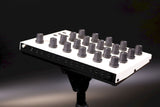Bella:  Digital/Analog Hybrid Mono Synth